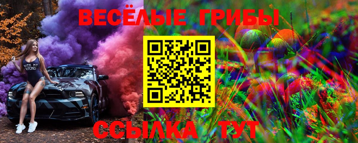 Кизляр  Галлюциногенные грибы MAGIC MUSHROOMS  Псилоцибиновые грибы GOLDEN TEACHER  Вход с VPN 