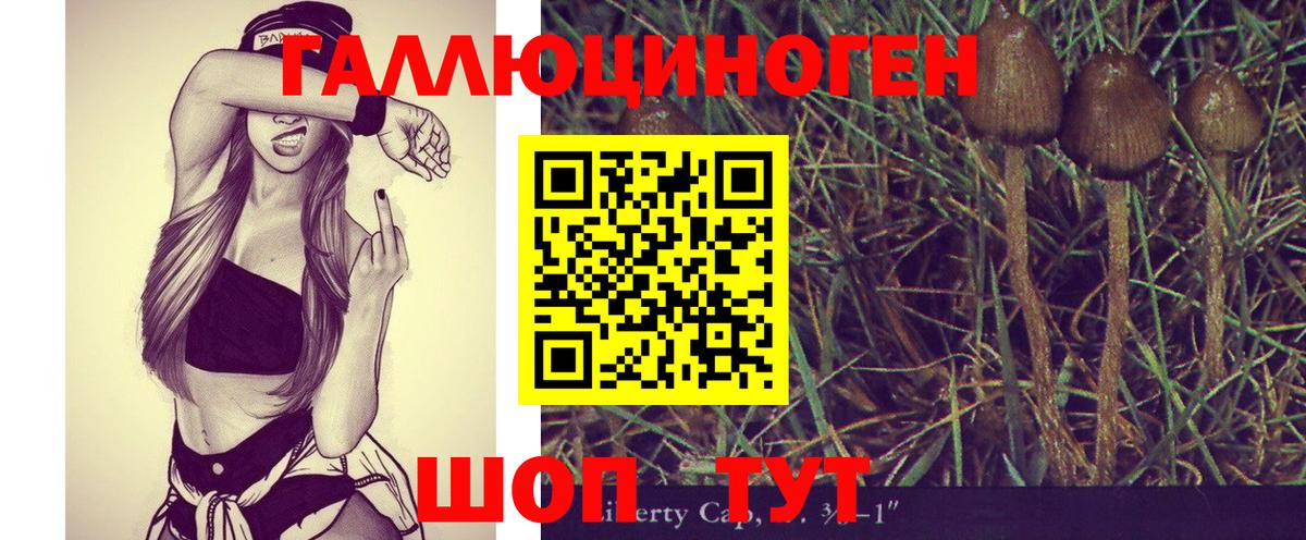 Псилоцибиновые грибы GOLDEN TEACHER Кизляр
